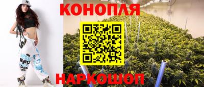 мдпв Татарск