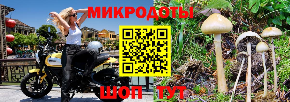 Галлюциногенные грибы ЛСД  Вход с VPN  Отрадный  Псилоцибиновые грибы прущие грибы 