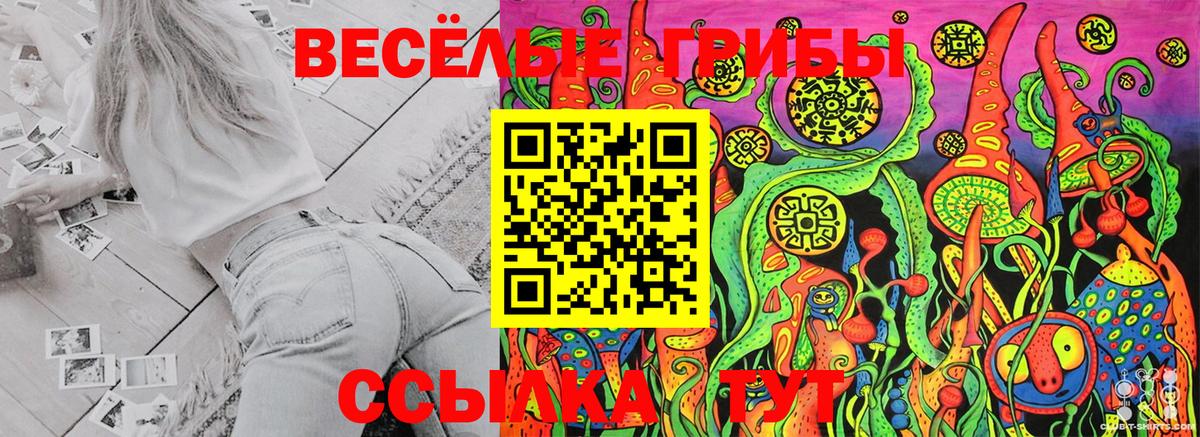Псилоцибиновые грибы MAGIC MUSHROOMS Отрадный